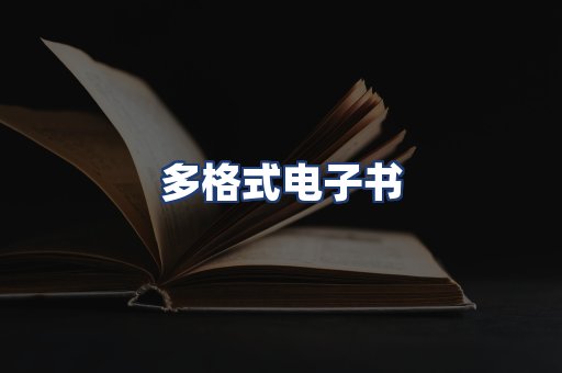 多格式电子书